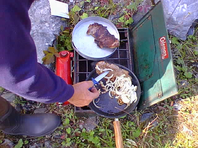 Steak & Onions